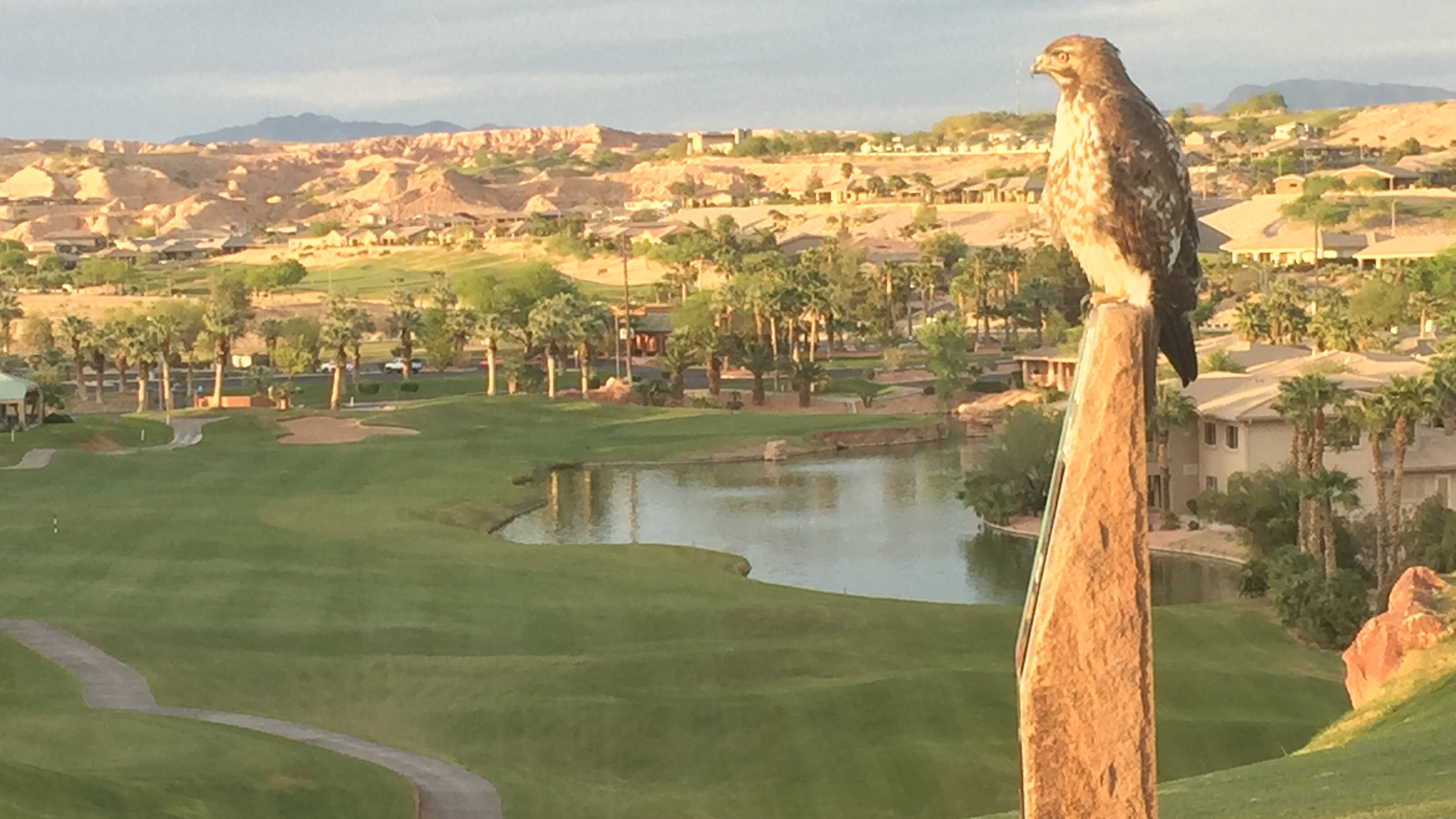 Oasis Golf Club