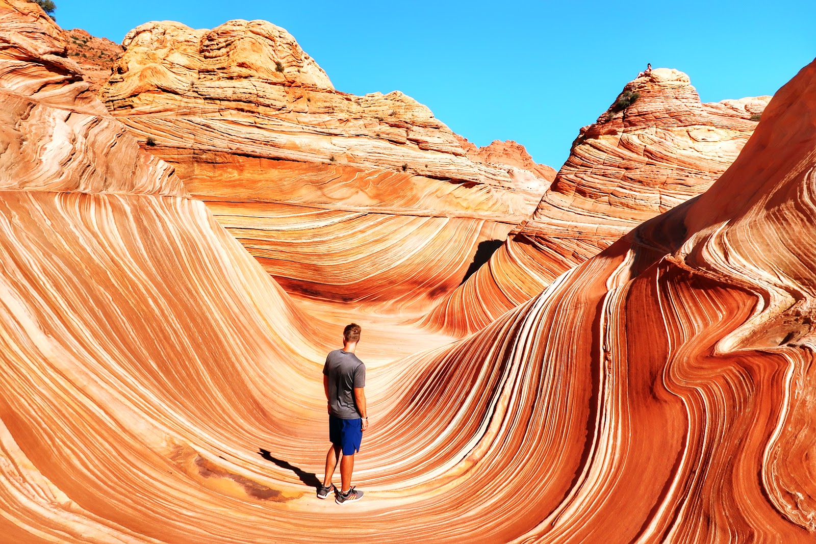 The Wave